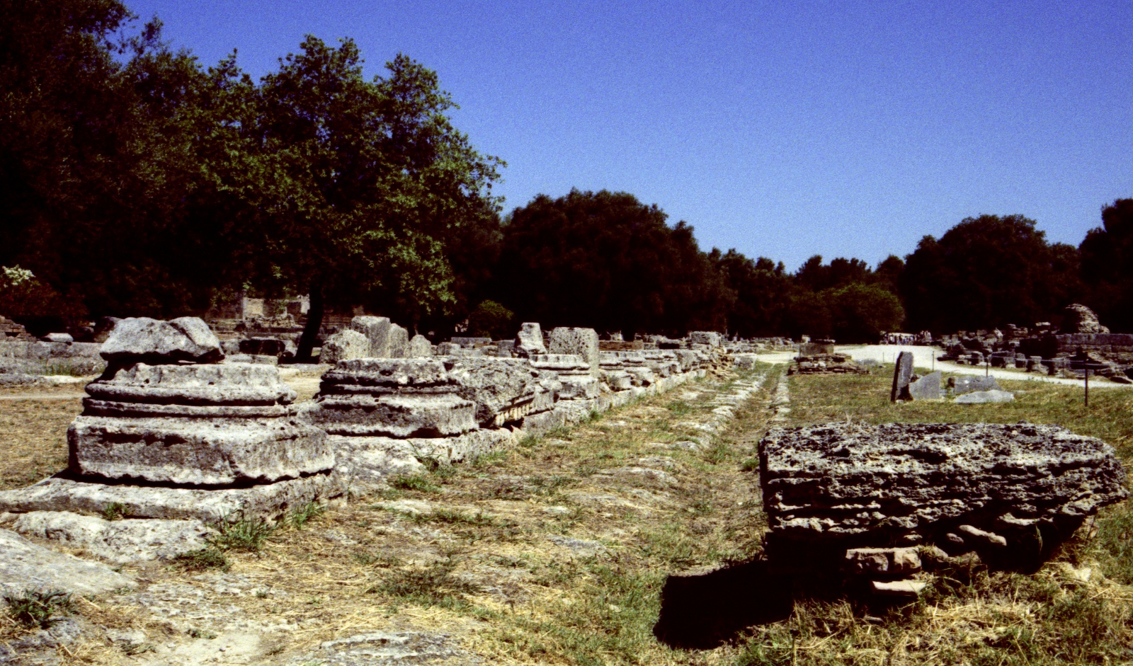 Olympia, cross process technique